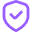 secure icon